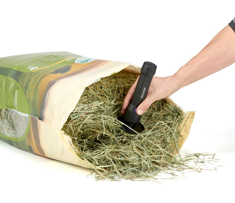 hay